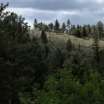 Trump Administration Moves To End Rule Protecting Swaths Of Forest LandUS Agriculture Department says rescinding the 2001 rule will help reduce wildfire risk and return control to local managers.