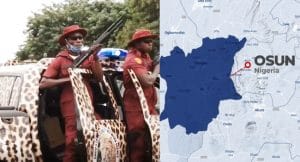 Osun Election: IGP Bans Amotekun, Deploys DIG Mohammed For Security