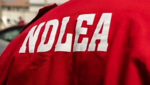 NDLEA Seizes N2bn Worth Of Illicit Drugs In Delta, Arrests More Women