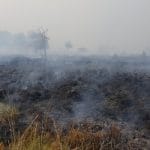 Belgium Wildfire Forces Evacuations as Blaze Engulfs 1,600 Hectares