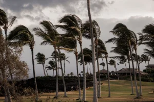 Hurricane Lala Strengthens as It Bears Down on Hawaii’s Big Island