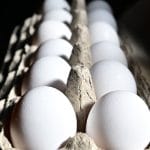Salmonella Risk: Why Vulnerable Groups Should Avoid Half-Boiled Eggs When Eating Out
