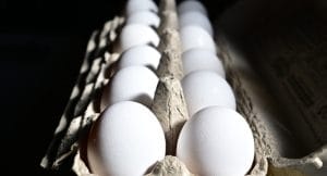 Salmonella Risk: Why Vulnerable Groups Should Avoid Half-Boiled Eggs When Eating Out