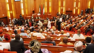 Faloye Questions Foreign Funding Bill, Warns Against Selective Enforcement