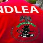 NDLEA Arrests Cross-Border Kingpin, Seizes N6.2bn ‘Jihadi Drug’ And Opioids
