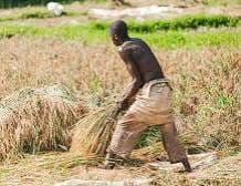 Ebonyi Lawmakers Seek Legislation To Sustain IFAD-VCDP Gains For Farmers