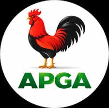 APGA Urges Security Agencies To Uncover Ebonyi Man’s Killers