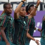 LIVE: South Africa Lead Nigeria 2-0 In Crucial World Cup Play-Off