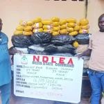 NDLEA Seizes N3.4bn Worth of Drugs, Arrests Fake Police Officer, Mechanic
