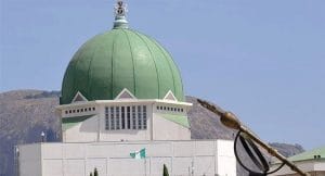 National Assembly Halts Engagements With South Africa Over Attacks On Nigerians, Other Africans