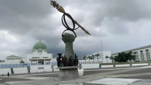 2026 Constitution Review: 36 States Given 30 Days To Act On NASS Bill
