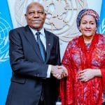Shettima Says Africa’s Exclusion From UN Security Council Undermines Global Governance