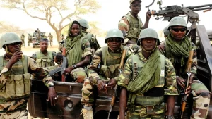 Funding Shortfalls Strain MNJTF Operations As Nigeria Shoulders Lake Chad Security Burden