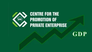 Nigeria At 66: CPPE Calls For Shift From Economic Stabilisation To Productivity