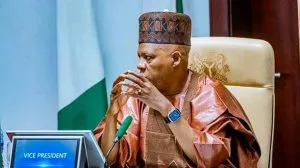 Only Six Northern Governors Backed Tinubu In 2023, Shettima Says