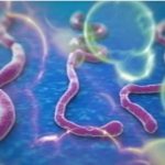 Uganda Denies Ebola Outbreak Claims as Nigeria Confirms Infection