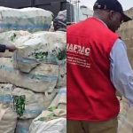 NAFDAC Discovers Stockpile of Empty Alcohol Bottles in Suspected Counterfeiting Operation in Lagos