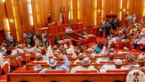 Senate Calls for Security Overhaul After 113 Killed in Benue