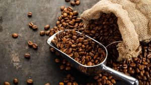 EBC Wraps Up Pop-Up Week with Coffee Masterclasses to Revive Coffee Culture