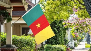 Cameroon Pledges Stronger Bilateral Relations With Nigeria