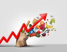 NESG Urges FG to Lower Production Costs and Attract Foreign Investment to Curb Inflation