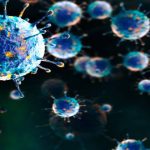 France Reports First Human Shamonda Virus Case as 14 EU Countries Affected