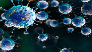 France Reports First Human Shamonda Virus Case as 14 EU Countries Affected