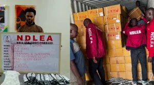 NDLEA Seizes N5bn Worth Of Drugs At Ports, Arrests Milan-Bound Businessman
