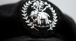 PSC Promotes Two Officers To DIG, Elevates Over 3,800 Senior Police Personnel