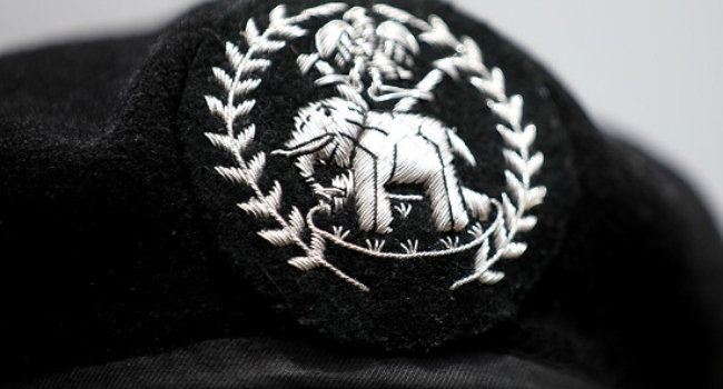 PSC Promotes Two Officers To DIG, Elevates Over 3,800 Senior Police Personnel